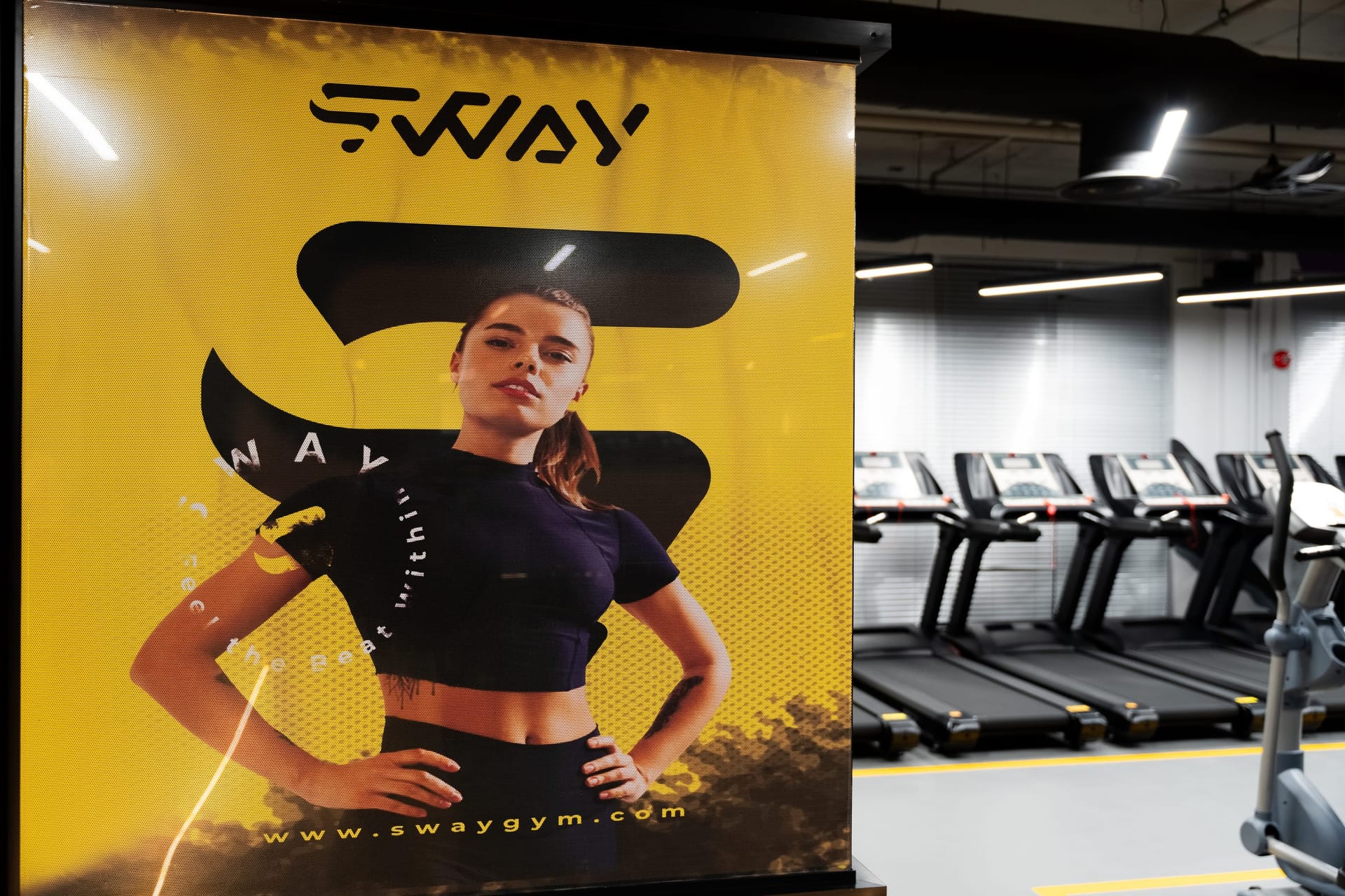 Sway Gym — image 2