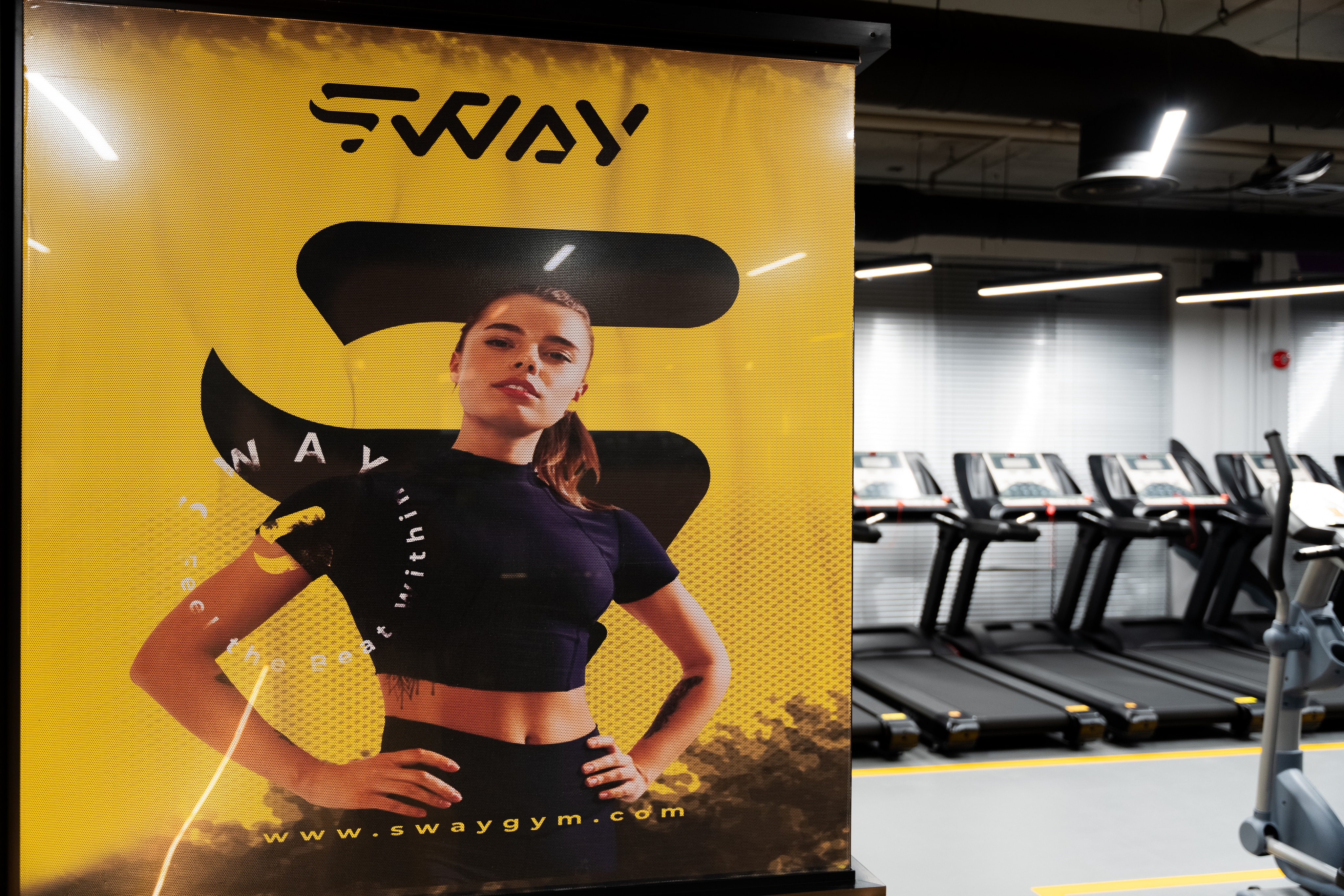 Sway Gym — image 2